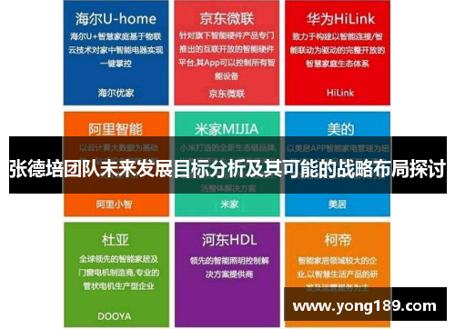 张德培团队未来发展目标分析及其可能的战略布局探讨